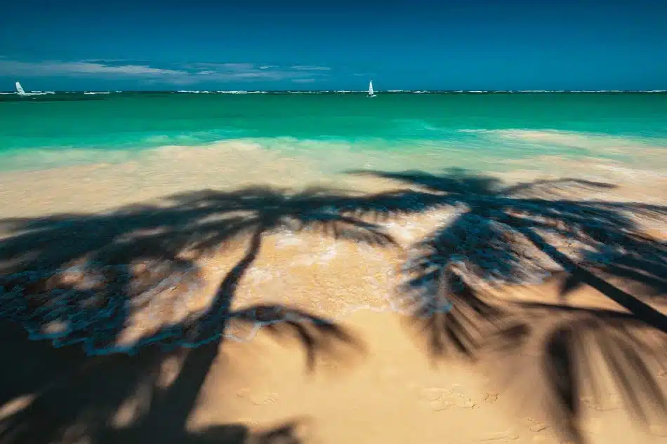 passer les fêtes de fin d’année aux Canaries sans craindre le froid