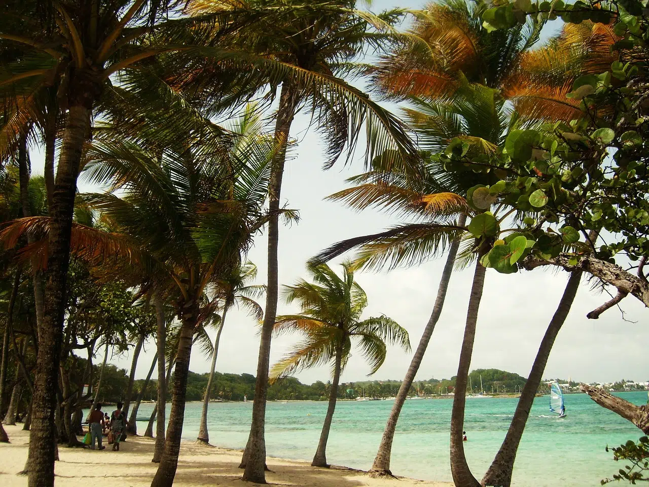 Que visiter à Nosy Be avec un guide touristique ?