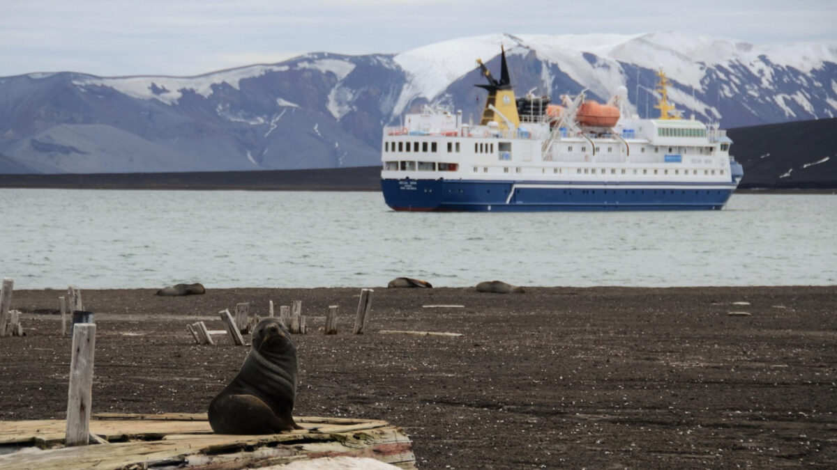 Croisière Antarctique boréale : l’aventure aux confins du monde
