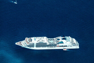 Croisière et animaux : une aventure à partager !