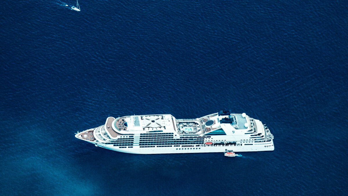 Croisière et animaux : une aventure à partager !