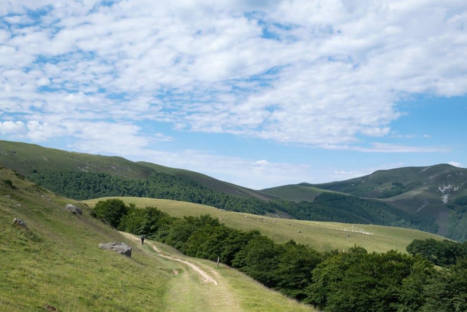 a landscape with hills and trees