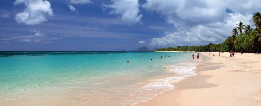 Grande Anse des Salines Martinique