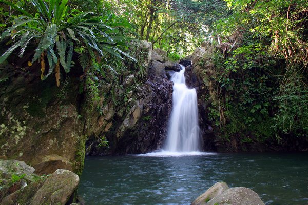 cascade Guadeloupe