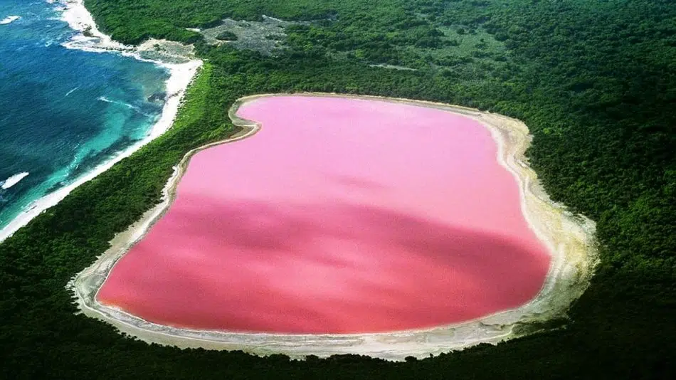 lac rose senegal