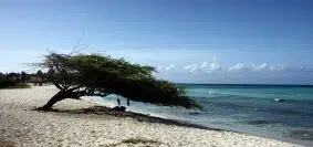 Quelles informations retrouve-t-on sur les blogs sur les Antilles ?