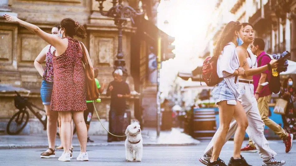 Séjours touristiques : tout ce qu’il faut pour les réussir